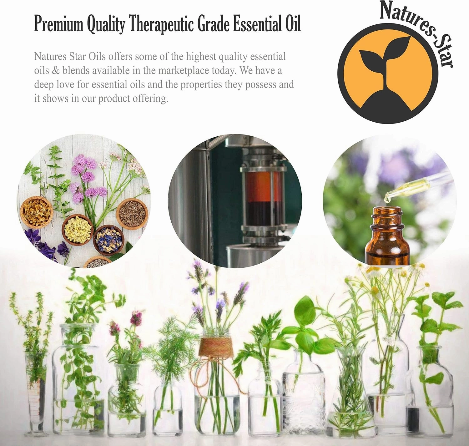 16oz Peppermint Essential Oil (16 Ounce Total), Therapeutic Grade, Peppermint Oil for Diffuser, Candle Making, Aromatherapy