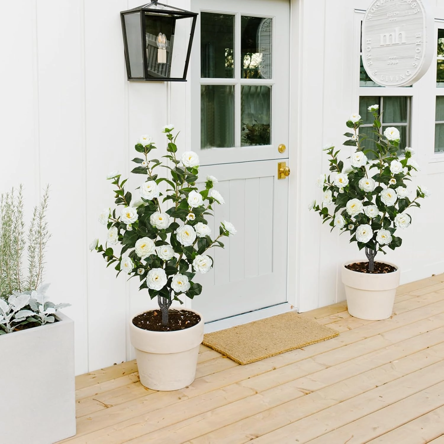 2 Pack 43.3"/3.6FT Artificial Camellia Tree Fake Outdoor Tree with 32 Blooming Flowers White Tree for Home Front Door Winter Christmas Indoor Decor (Including Dried Moss)