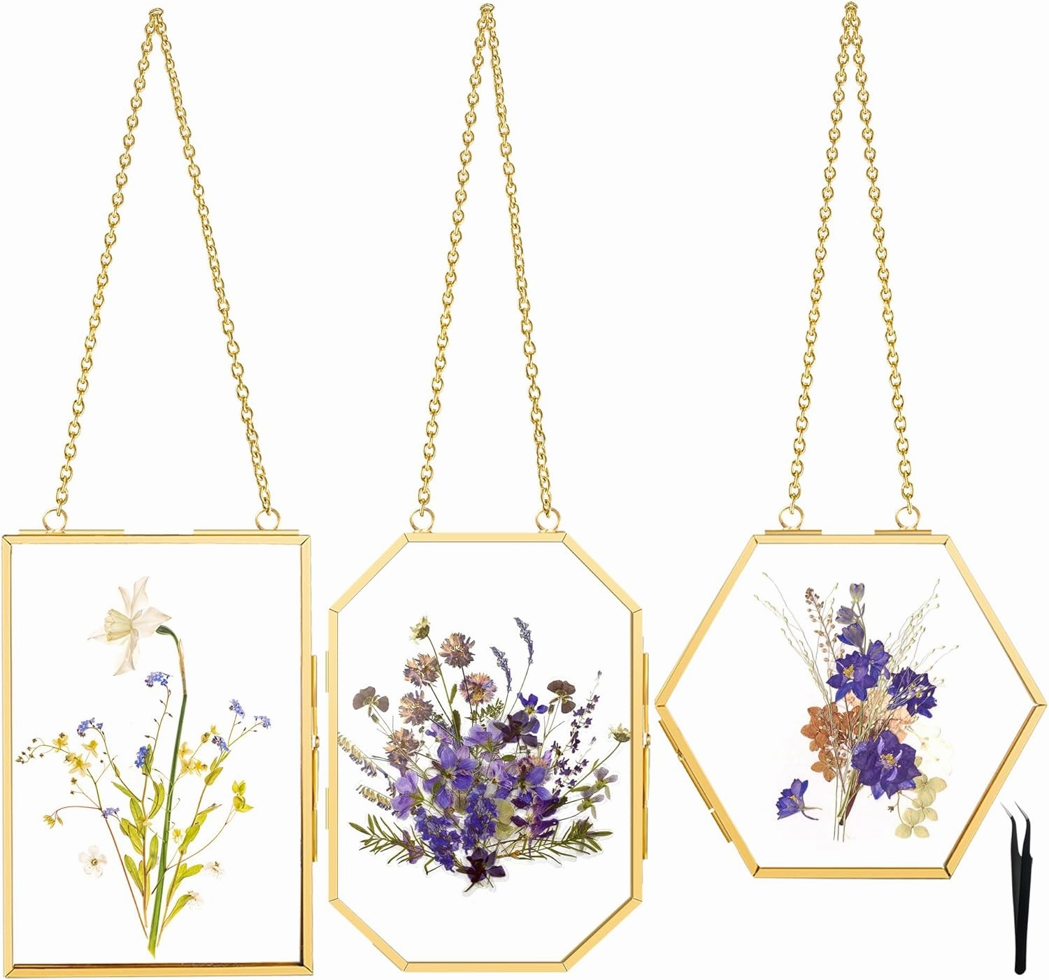 BABUFINE 3 Pcs Pressed Flower Frames with Tweezers, Double Glass Wall Hanging for Pressed Flowers, Brass Picture Frames with Metal Chain for Dried Flowers Plants Artwork Display
