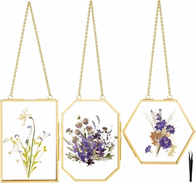 BABUFINE 3 Pcs Pressed Flower Frames with Tweezers, Double Glass Wall Hanging for Pressed Flowers, Brass Picture Frames with Metal Chain for Dried Flowers Plants Artwork Display