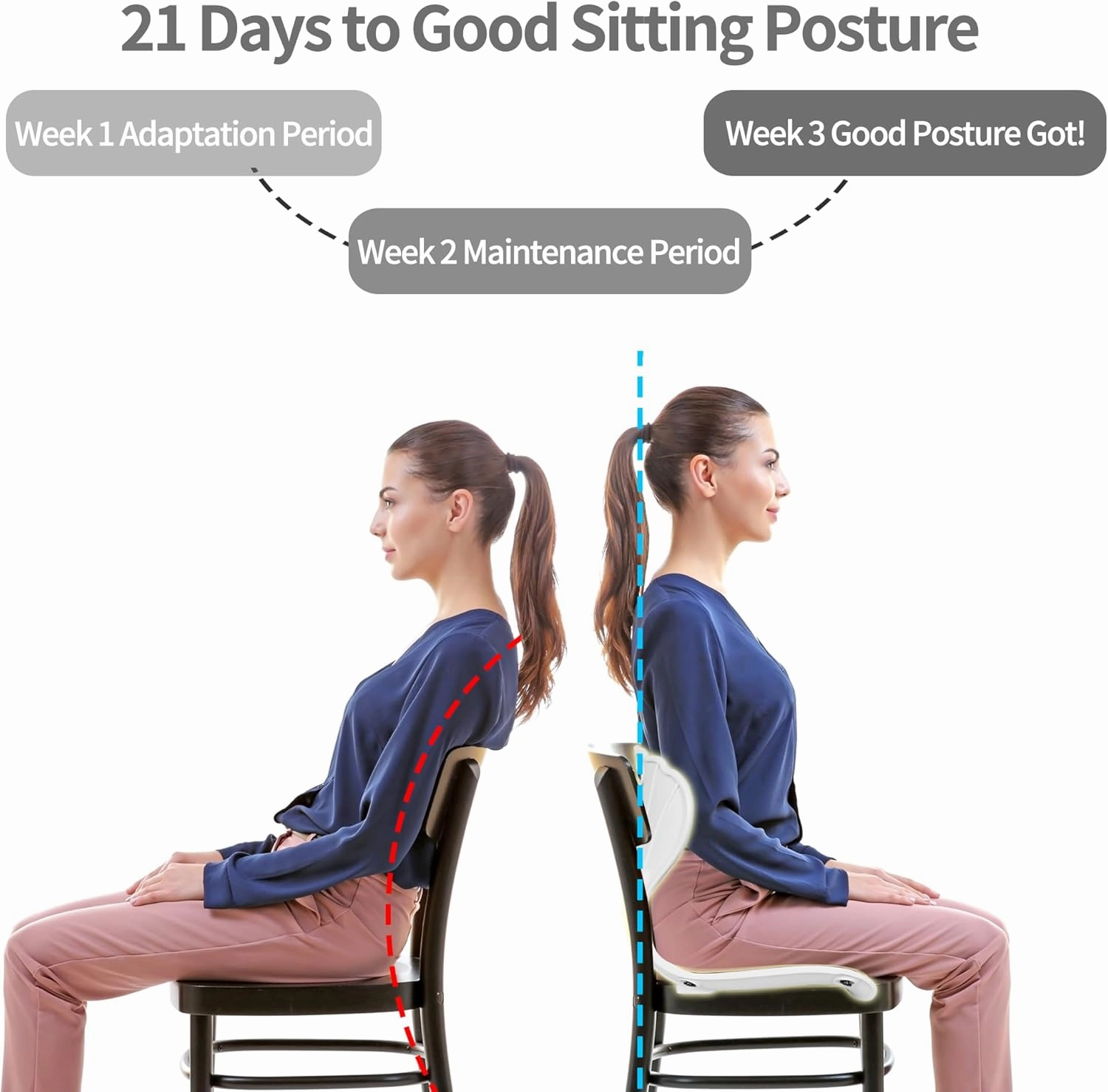 Back Support Office Chair - Posture Correction & Lower Back Pain Relief - Ergonomic Back Support Pillow for Office Chair, Couch, Floor Seat and Work from Home (Pro - 14.2" H)