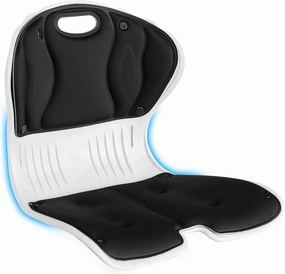 Back Support Office Chair - Posture Correction & Lower Back Pain Relief - Ergonomic Back Support Pillow for Office Chair, Couch, Floor Seat and Work from Home (Pro - 14.2" H)