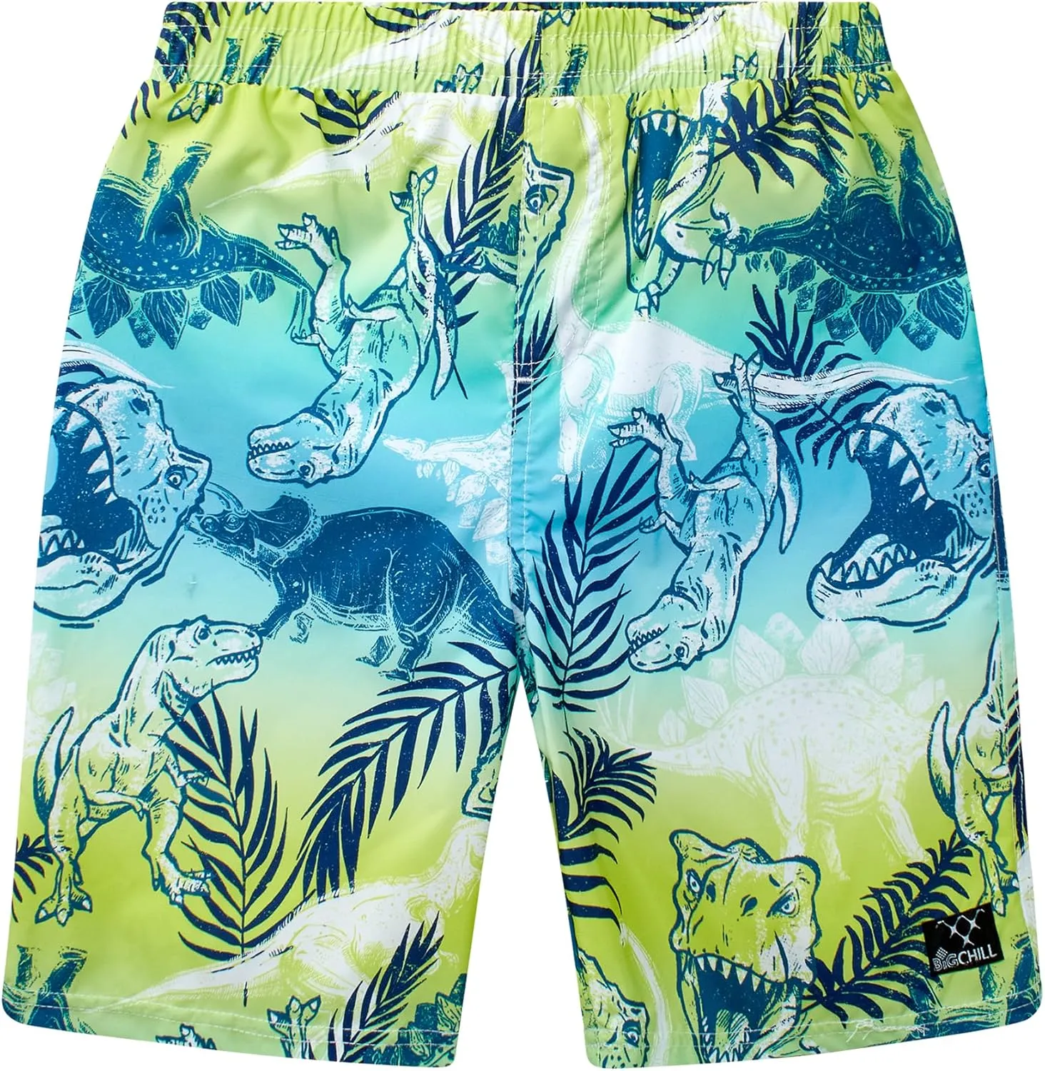 Big Chill Boys Rash Guard Set - 2 Piece UPF 50  Quick Dry Short Sleeve Swim Shirt and Swim Trunks for Boys (Sizes: 4-14)