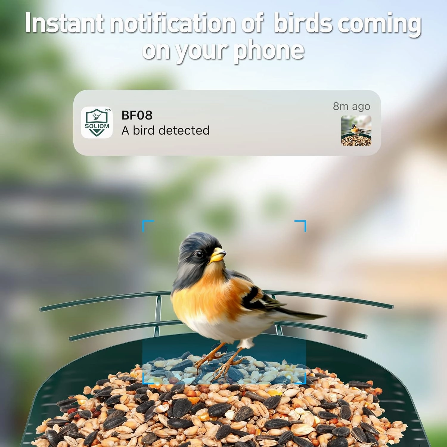 Bird Feeder with Camera with AI Identify Species, Smart Wild Bird Watching, 2K Live View, Instant Arrival Alerts with 5W Solar Powered-Soliom BF08 Metal