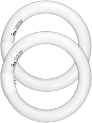 Circular Bulb FC8T9/DL, 8 Inch T9 22W Circline Fluorescent Light Bulbs, Replacement Round Fluorescent Lamp Tube, Bright Daylight 6400K 1250 Lumens, G10q 4 Pin Base, 2 Pack