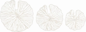 Creative Co-Op Handmade White Coral Shaped Paper & Metal Wall Décor (Set of 3 Sizes)