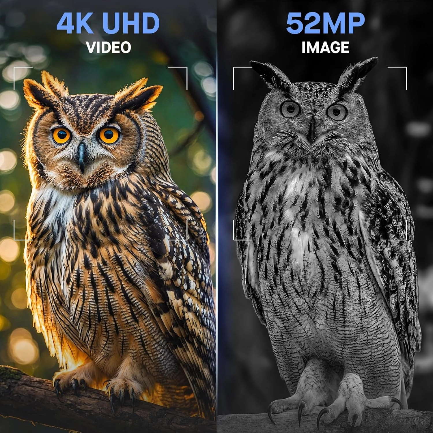 Digital Infrared Night Vision Goggles - 4''/3'' Night Vision for Viewing in 100% Darkness-4K UHD/4K Video for Hunting, Camping, Birds Watching