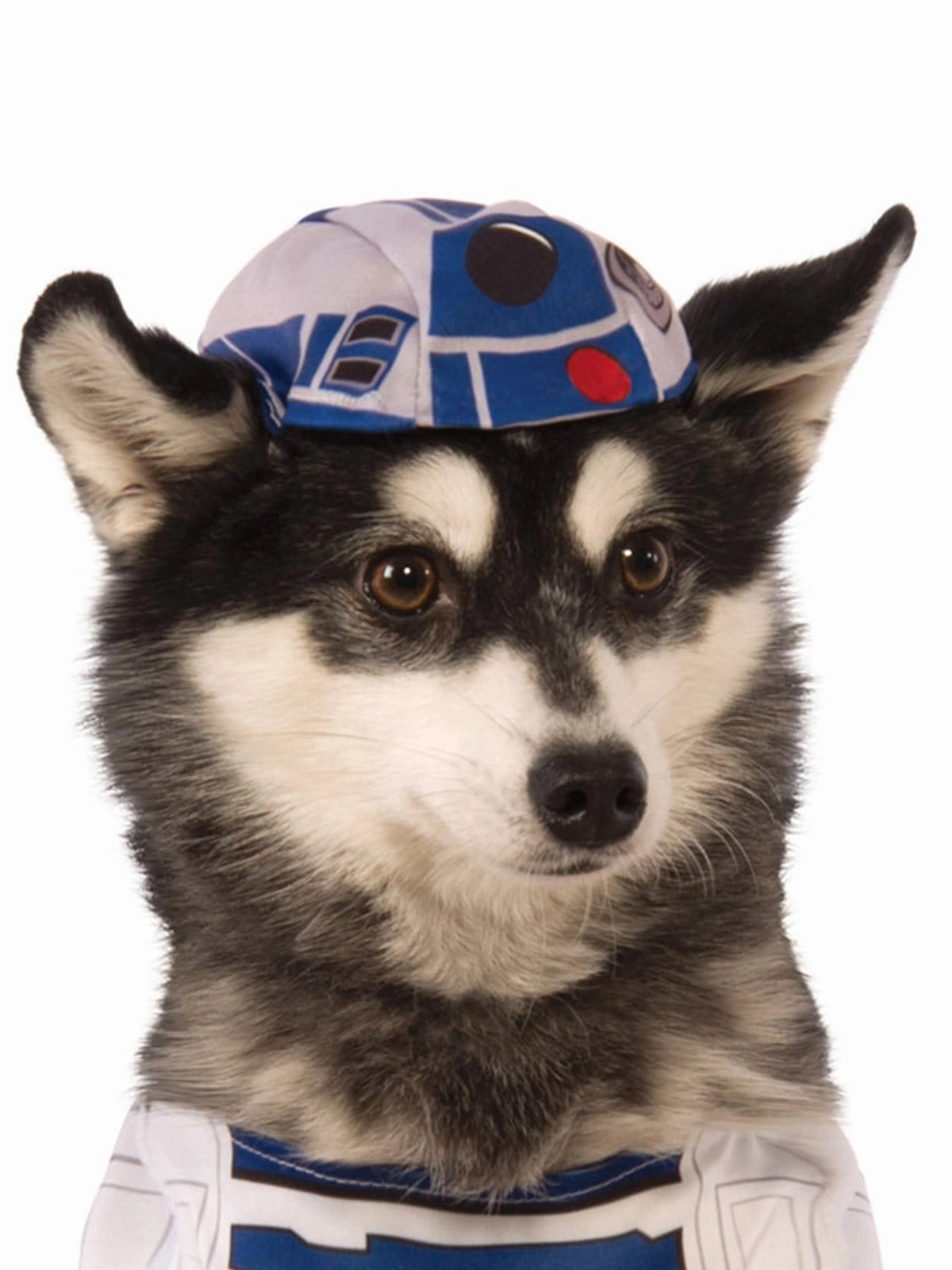 DR22 Star Wars Licensed Pet Dog Costume