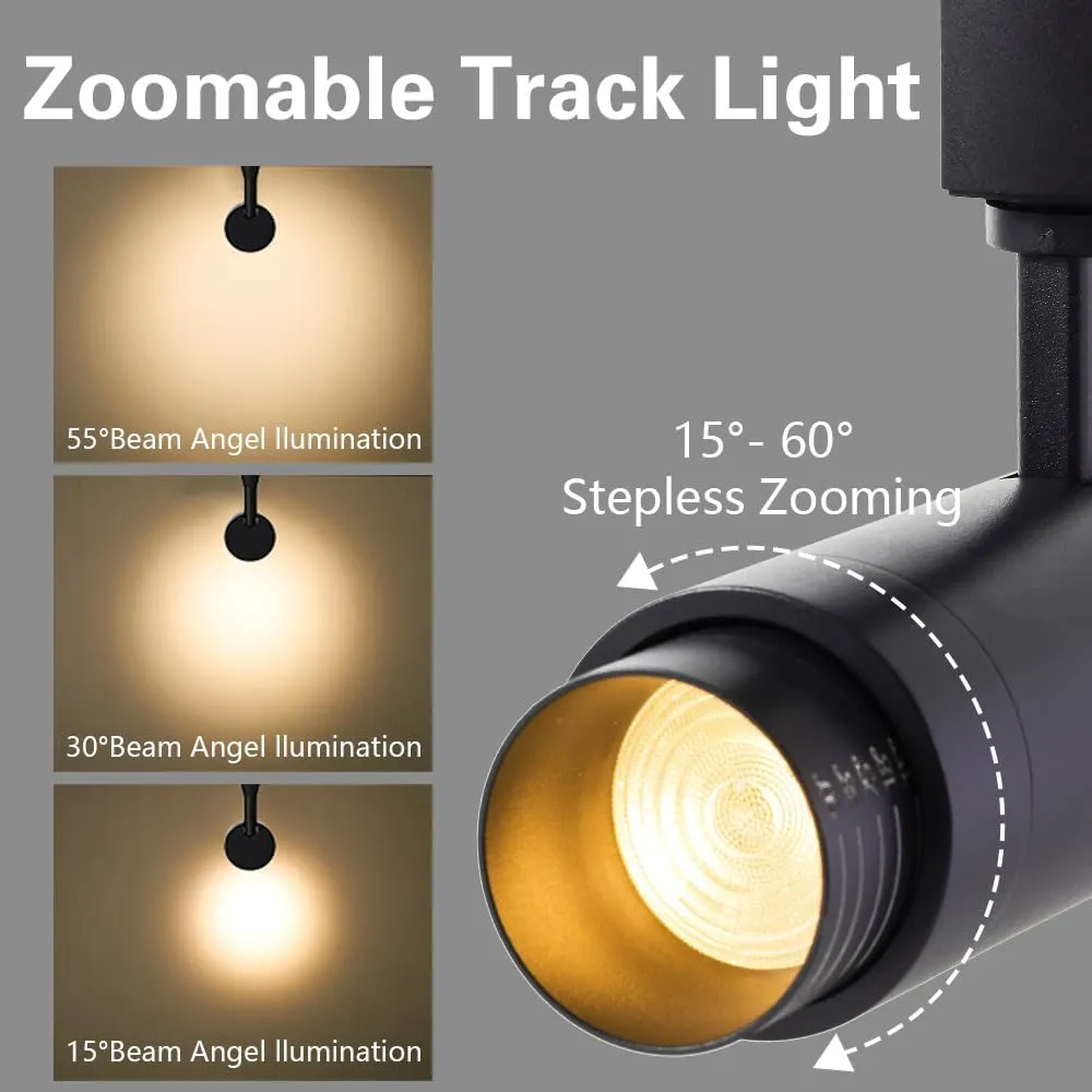 EAGLOD Zoomable 10W Track Light Heads,H Track Lighting Head with Remote,Stepless Dimming Bright LED Track Heads 2700K-6500K Adjustable,15°~60° Beam Angle for Home,Commercial,Artwork (Black, 2Pack)