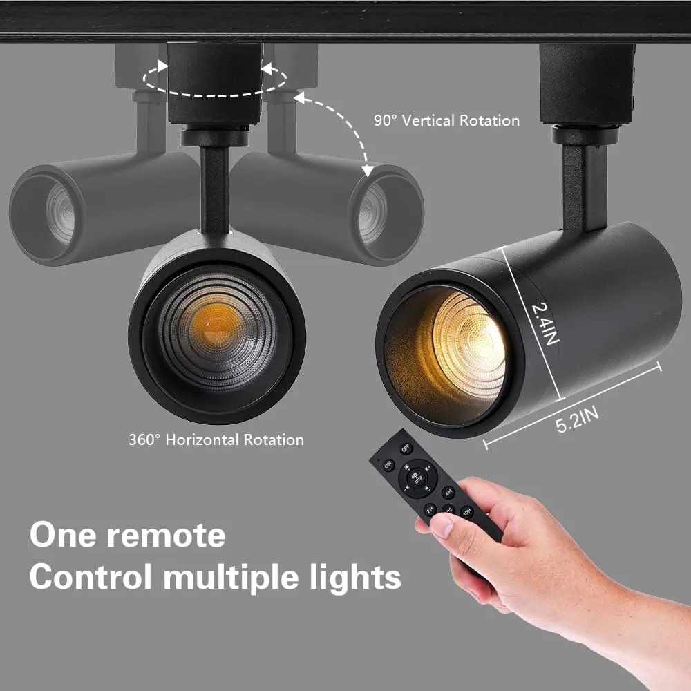 EAGLOD Zoomable 10W Track Light Heads,H Track Lighting Head with Remote,Stepless Dimming Bright LED Track Heads 2700K-6500K Adjustable,15°~60° Beam Angle for Home,Commercial,Artwork (Black, 2Pack)
