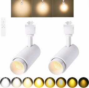 EAGLOD Zoomable 10W Track Light Heads,H Track Lighting Head with Remote,Stepless Dimming Bright LED Track Heads 2700K-6500K Adjustable,15°~60° Beam Angle for Home,Commercial,Artwork (White, 2Pack)