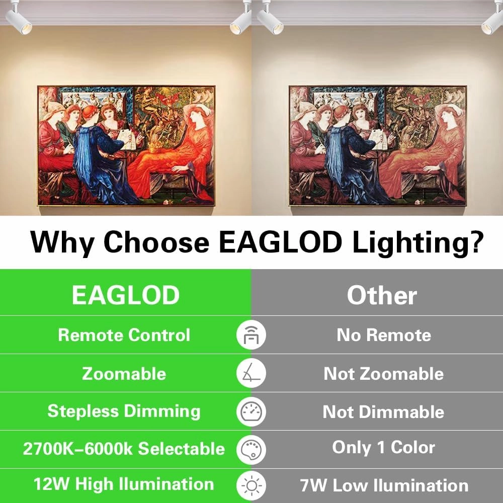 EAGLOD Zoomable 10W Track Light Heads,H Track Lighting Head with Remote,Stepless Dimming Bright LED Track Heads 2700K-6500K Adjustable,15°~60° Beam Angle for Home,Commercial,Artwork (White, 2Pack)