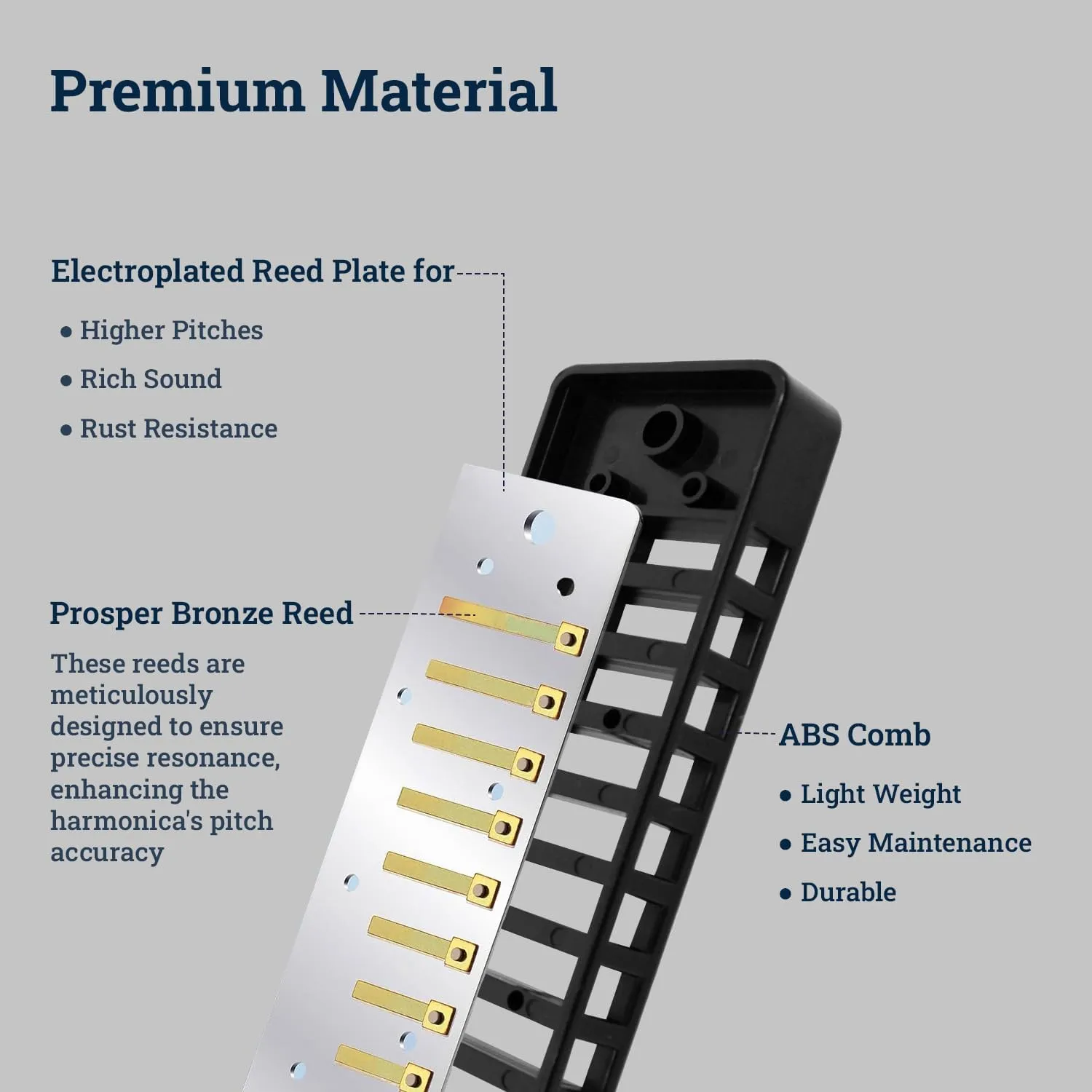 Harmo Polar Diatonic Harmonica Key of B - 10 Holes 20 Notes, Blues Harp Mouth Organ With Case, Phosphor Bronze Reeds, Suitable for All Genres, Harmonica for Kids, Adult, Beginners & Professionals