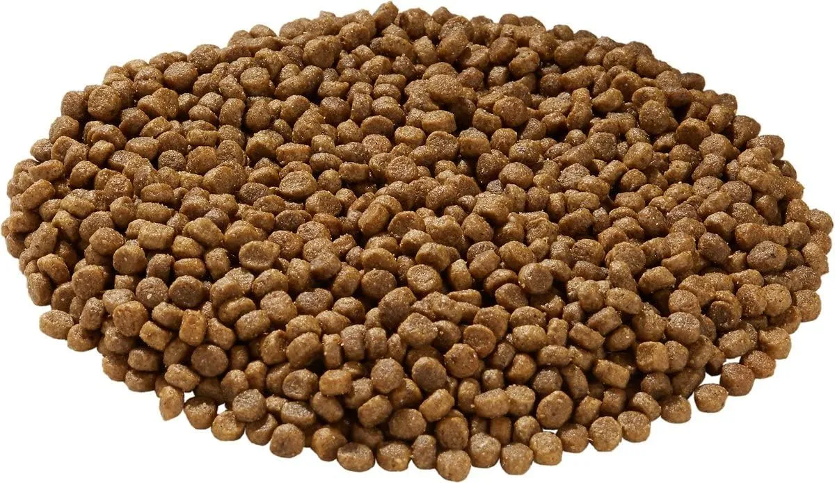 Health Extension Little Bites Chicken & Brown Rice Dry Dog Food (10 lb / 4.5 Kg) - Natural with Probiotics and Superfoods for Teacup, Toy & Small Breeds