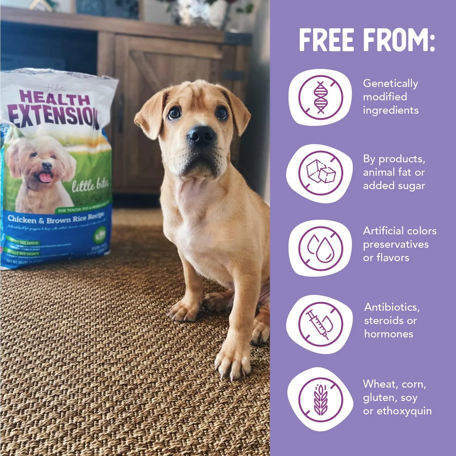 Health Extension Little Bites Chicken & Brown Rice Dry Dog Food (10 lb / 4.5 Kg) - Natural with Probiotics and Superfoods for Teacup, Toy & Small Breeds
