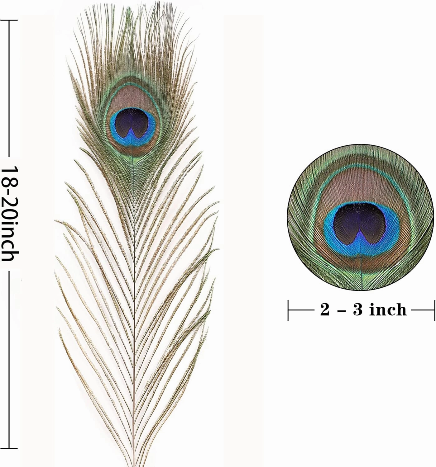 Larryhot Craft Peacock Feathers Bulk - 40pcs 18-20 inches Feathers for DIY Crafts, Wedding, Home and Holiday Party Decorations