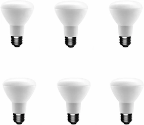 LED 50-Watt Equivalent R20 Dimmable LED Light Bulb Daylight (6-Pack),1003025802