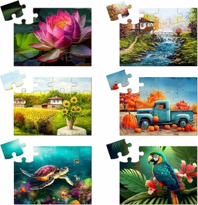 Libima 6 Pack 16 Large Piece Jigsaw Puzzles for Seniors Dementia Alzheimer's Products Activities for Elderly Puzzles Cognitive Games Easy Jigsaw Gifts for Adults Elderly Seniors(Scape)