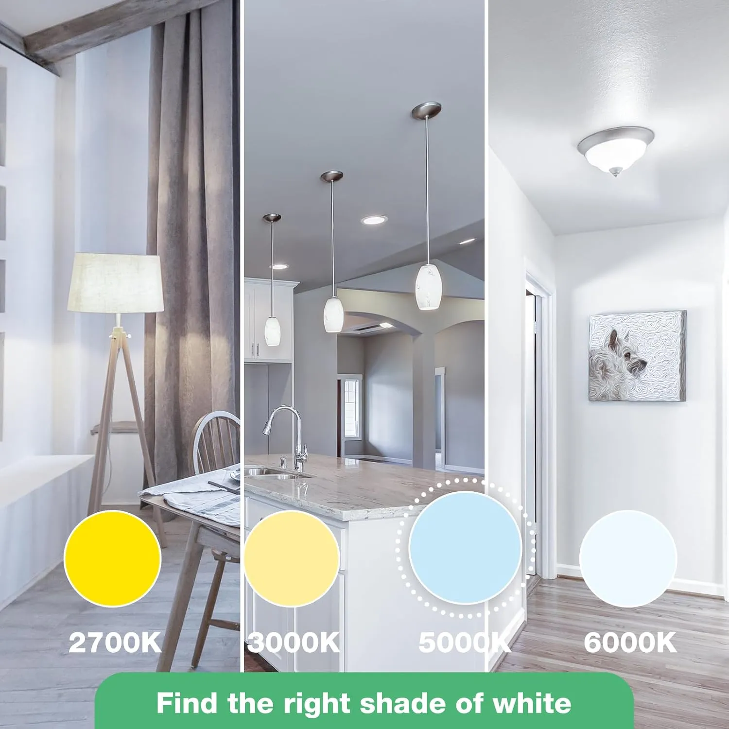 Light Bulbs, 100 Watt Equivalent LED Bulbs A19, 5000K Daylight Light Bulbs, E26 Standard Base, 1500 Lumens, Non-Dimmable, 13W Bright White LED Bulb for Bedroom Home Office, 24 Pack