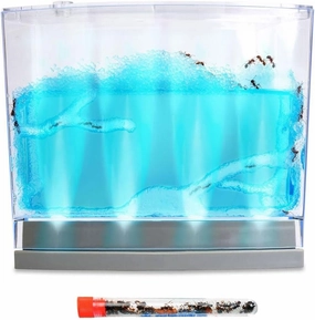 Lighted LED Ant Habitat Kit with 25 Live Ants - Ant Terrarium Complete Set with Clear Nutrient Gel - Perfect for Learning and Fascinating Observation