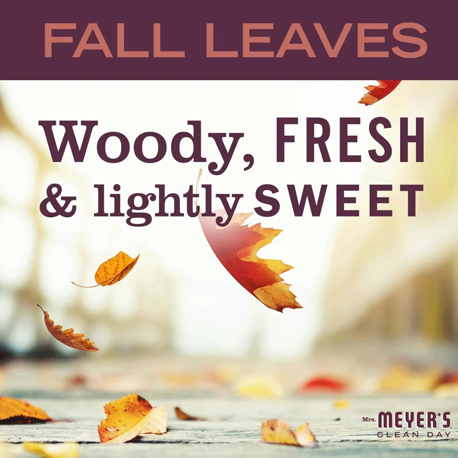 MRS. MEYER'S CLEAN DAY Variety, 2 Liquid Hand Soap 12.5 OZ, 1 Liquid Dish Soap, 16 FL OZ (Fall Leaves)