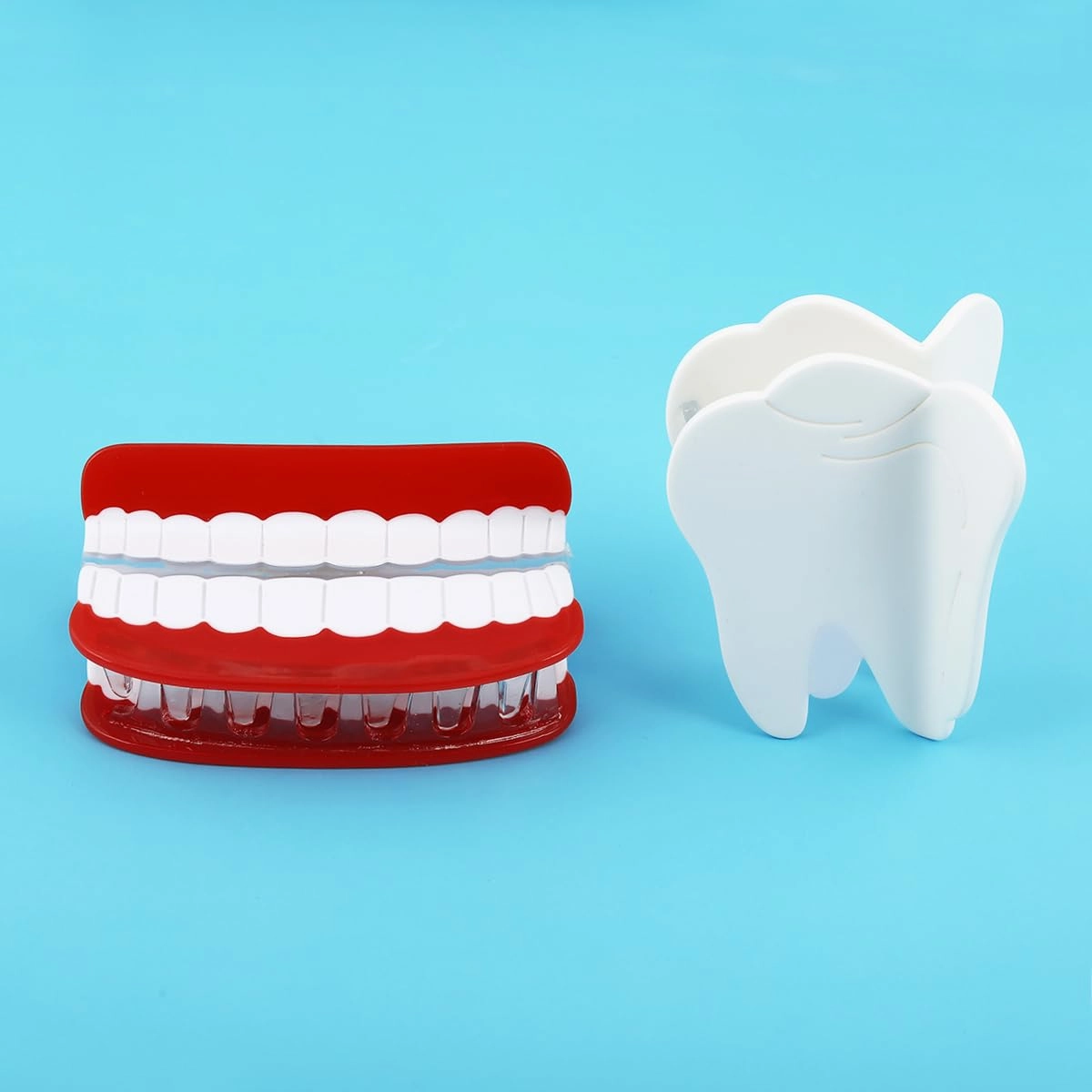 Personalised A Dental Model Tooth Acetate Hair Claw Clip Oral Doctor Creative Hair Clip in Stomatology for Women Girls Gift