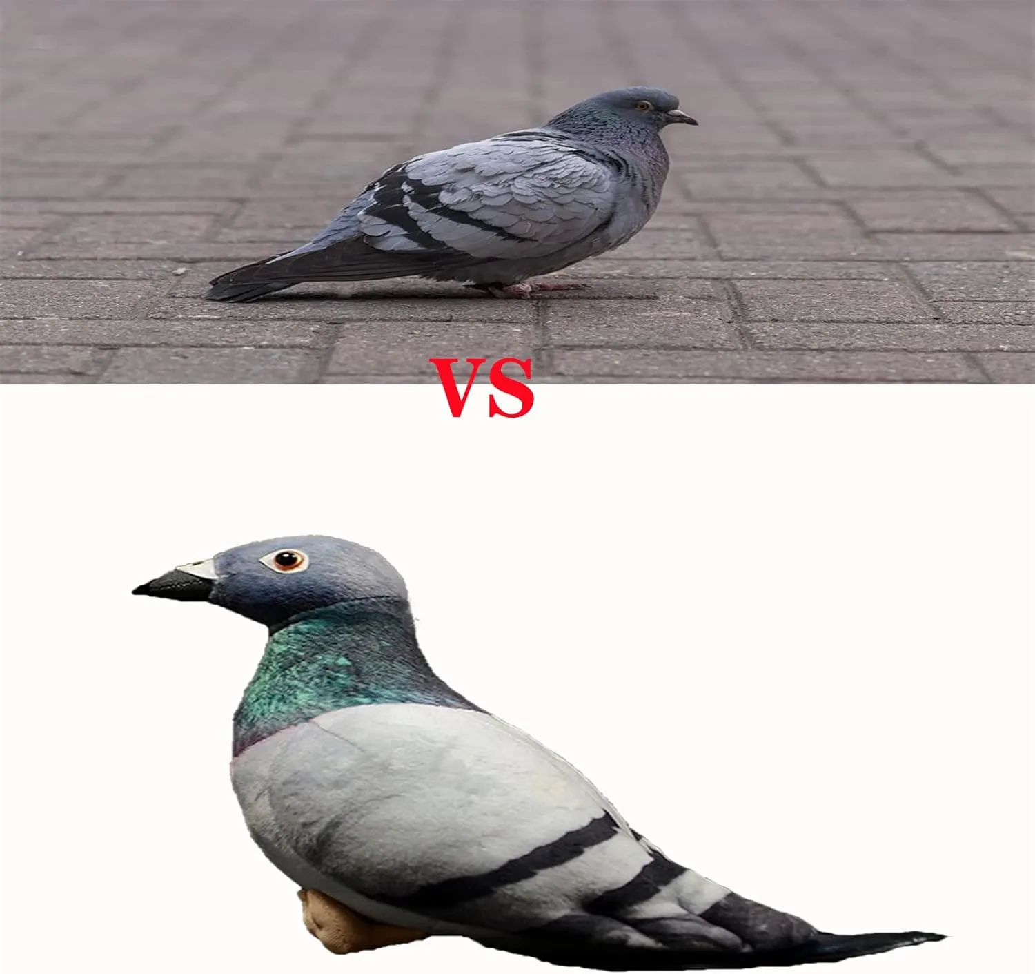 Pigeon Plush Toy - Simulation Rock Columba Rupestris Stuffed Animal, Cute Rock Pigeon Plush Toy as Gift for Kids Birthday Christmas…