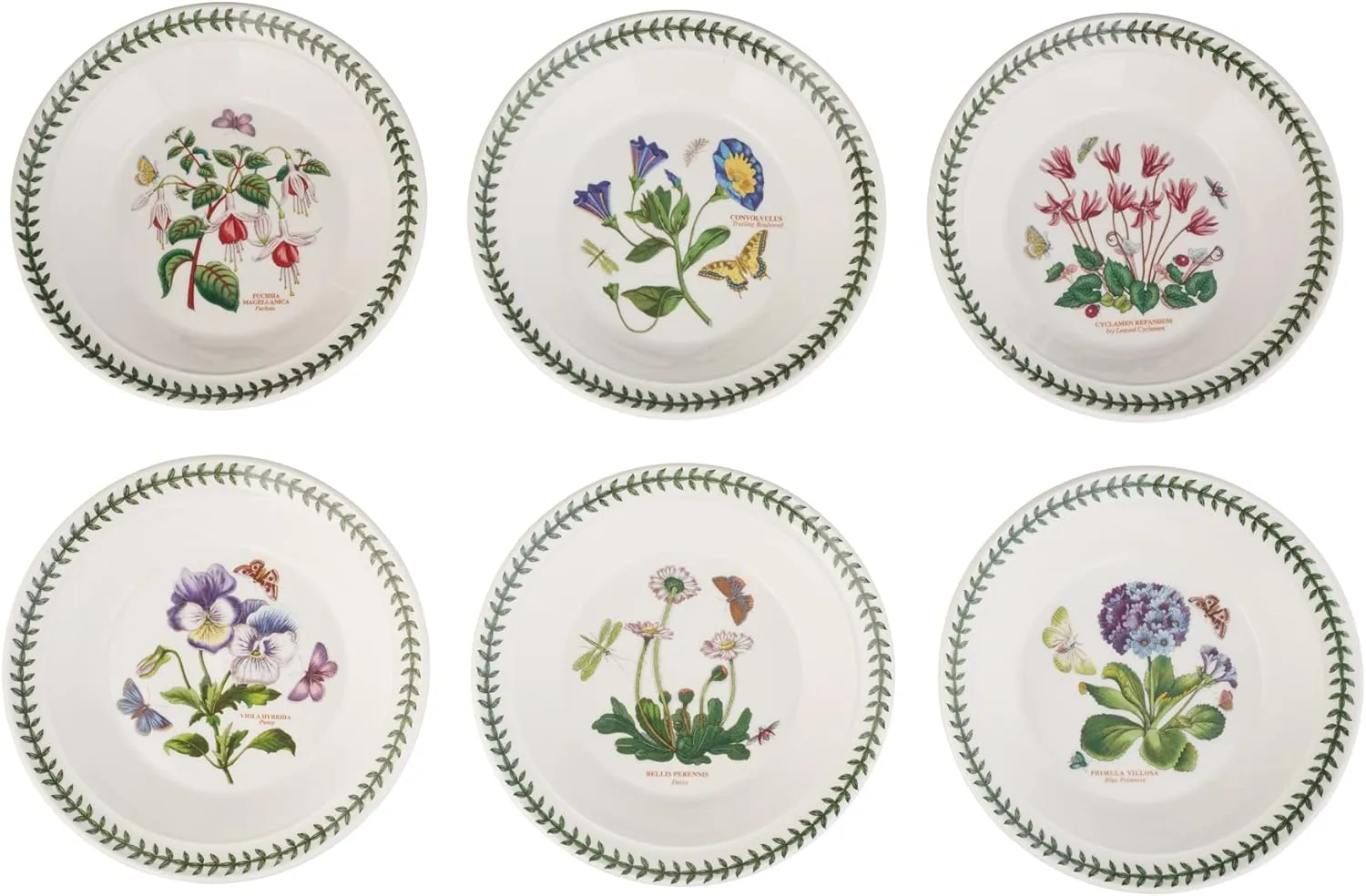 Portmeirion Botanic Garden 8.5" Soup Plate (Set of 6) - Floral-Inspired Earthenware, Scratch-Resistant Glaze - Microwave, Oven, Freezer Safe - Elegant Tableware Made in England