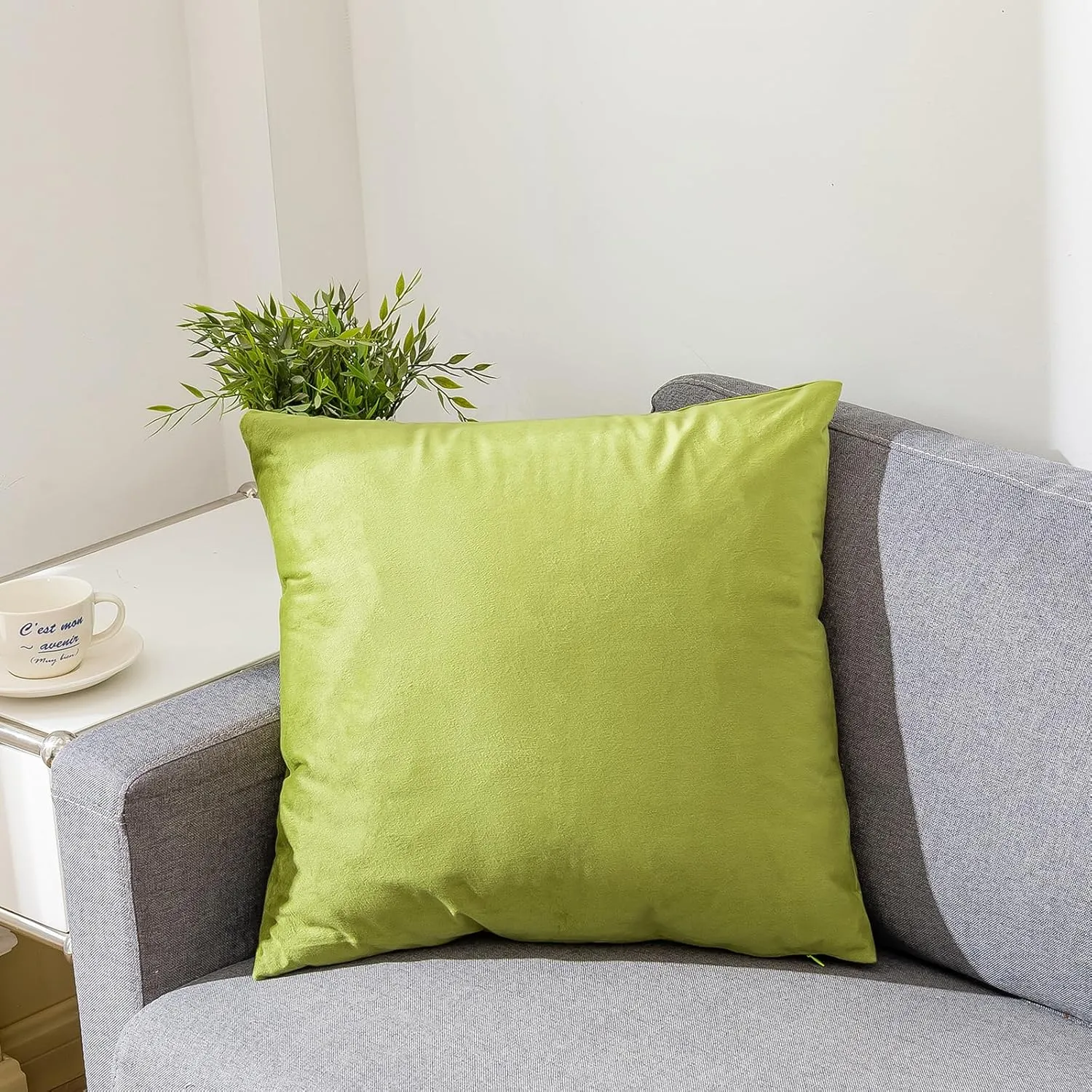RainRoad Bright Green Throw Pillows Covers Set of 2 Soft Velvet Decorative Pillow Covers 20x20 Inch for Couch Bed (Bright Green, 20" x 20"(Pack of 2))