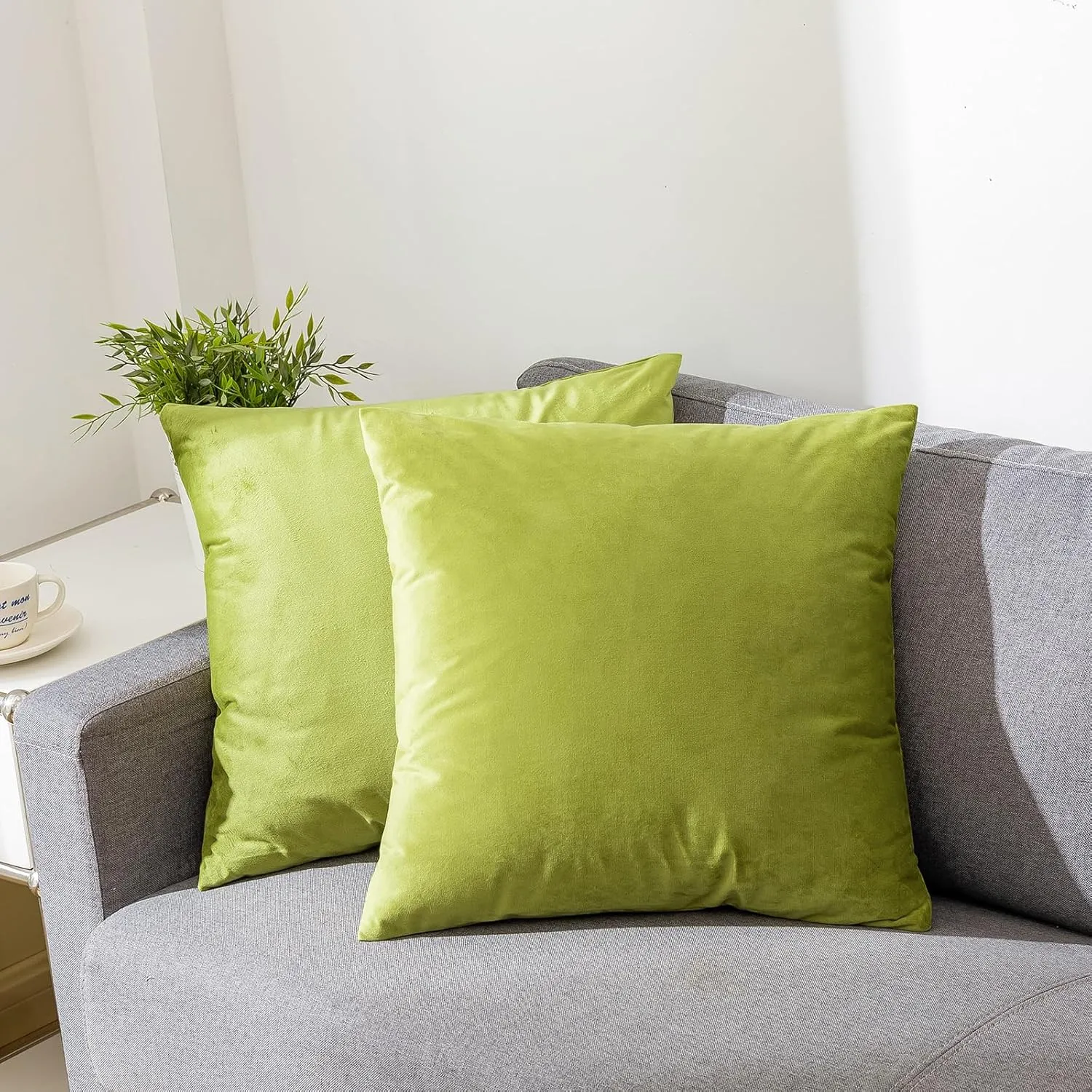 RainRoad Bright Green Throw Pillows Covers Set of 2 Soft Velvet Decorative Pillow Covers 20x20 Inch for Couch Bed (Bright Green, 20" x 20"(Pack of 2))