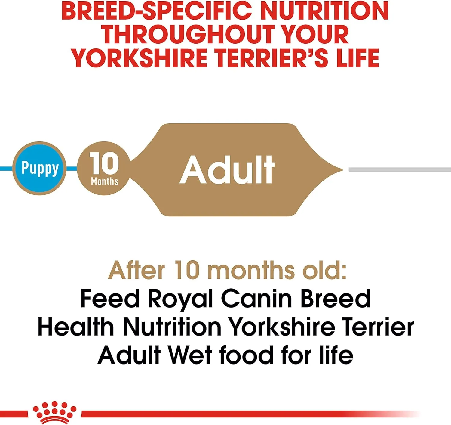 Royal Canin Yorkshire Terrier Adult Breed Specific Wet Dog Food, 3 oz can (4-pack)