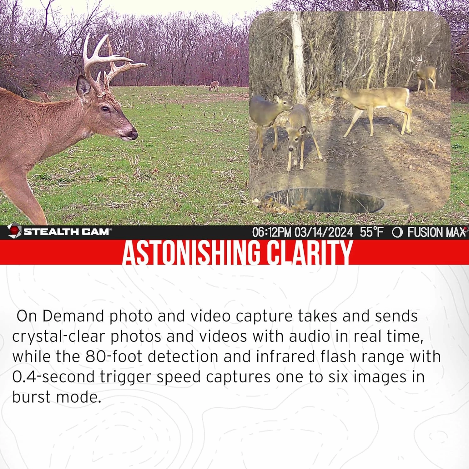 Stealth Cam 36MP Fusion Max Cellular Trail Camera (6-Pack) Bundle with 6X Lithium Solar Power Panel, 6X Trail Camera Holder, 6X 32GB Memory Card, and Card Reader (25 Items)